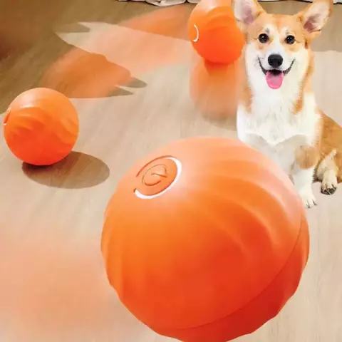 Bolinha interativa automática para cachorro recarregável. - comprar online