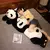 Panda Gigante na internet