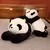 Imagem do Panda Gigante