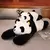 Imagem do Panda Gigante