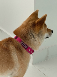 Banner de la categoría COLLAR NÁPOLES