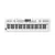 Teclado personal Roland GO:KEYS 5 – 61 teclas – Blanco- A pedido (24-48 hrs Stgo)