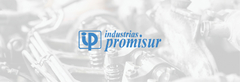 Banner de la categoría PROMISUR