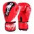 Luva de Boxe / Muay Thai - Compra Oferta Certa