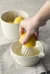 Espremedor de Frutas Mason Cash - comprar online