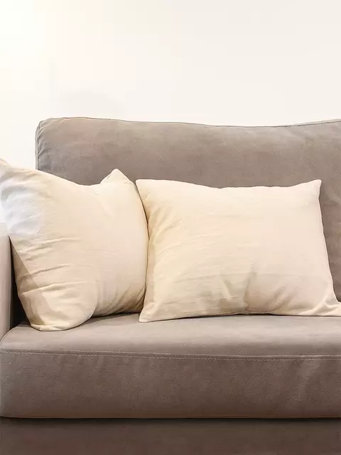 Almohadón liso 50 x 50cm - comprar online