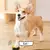 DogVoice – Botões Inteligentes para Pets