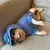 Imagem do Roupinha Disney stitch