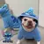 Roupinha Disney stitch - Zy Pets