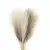 Kit 6 Ramos de Pampas Grass Artificial – Decoração Elegante em Seda - comprar online