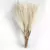 Kit 6 Ramos de Pampas Grass Artificial – Decoração Elegante em Seda - Toque Casa