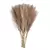 Kit 6 Ramos de Pampas Grass Artificial – Decoração Elegante em Seda - comprar online