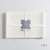 SET X6 INDIVIDUALES WHITE