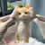 Alívio do estresse gato squeeze brinquedo realista tpr brinquedo para ansiedade - comprar online