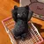 Alívio do estresse gato squeeze brinquedo realista tpr brinquedo para ansiedade - loja online
