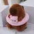 Bonito capivara brinquedo de pelúcia com capuz com asas simulação boneca tama - loja online