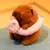 Bonito capivara brinquedo de pelúcia com capuz com asas simulação boneca tama