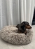 Nido Nordico 60cm Beige/Marron - comprar online