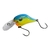 Señuelo Raptor Velociraptor Paleta Larga Redonda V2 - comprar online