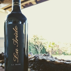 VINO LA IRIDE CABERNET FRANC - comprar online