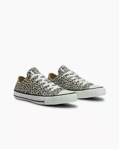 TENIS SB ALL STAR CHUCK TAYLOR CT31130001 - Maxtennis