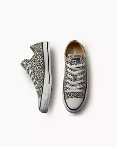 TENIS SB ALL STAR CHUCK TAYLOR CT31130001 - loja online