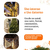 Pisca Solar Cordão Natal Prova D'água 8 Funções 200 Leds 20m - Magazine Arkad