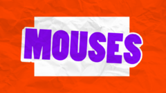 Banner de la categoría Mouses inalambricos