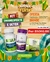KIT Emagrecimento e Detox