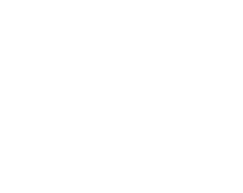 FG Autos