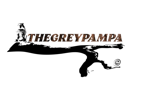 Thegreypampa