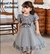 Rose Dress Gris en internet
