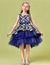 Maiki Dress - Royal Petitt