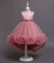 Imagen de Lisa Dark Rose Dress