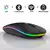 Mouse Sem Fio Sem Fio Com Bateria Interna Recarregavel 2,4 Ghz Led RGB Home Offi