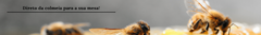 Banner da categoria Mel Puro