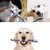 KIT 3 ESCOVA DE DENTE PET PARA CACHORRO E GATO DUPLA CORES SORTIDAS - comprar online