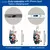 Bonito 2d gato telefone anti poeira tampa porta de carga plug para iphone tipo c proteção contra poeira rolha accessorie na internet