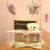 Regalo Petit - comprar online