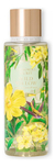 Victoria's Secret Body Splash Wild Willow