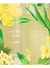 Victoria's Secret Body Splash Wild Willow - comprar online