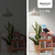 Tecla inalámbrica RF, 2 Efectos Smart House, Negro - Reltec