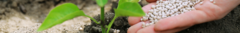 Banner de la categoría Fertilizantes