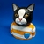Gato Busto na internet