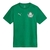 Camisa Palmeiras Treino 25/26 - Versão Torcedor