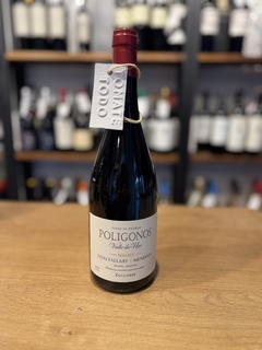 Vino - tinto Poligonos Malbec Gualtallary - Zuccardi - comprar online