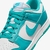 Nike Dunk Low Next Nature - Dusty Cactus na internet