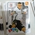 Card 80 LUAN - CORÍNTHIANS, Panini Adrenalyn XL do Campeonato Brasileiro 2020/2021 - comprar online