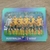 Figurinha AUS1 - TIME POSTADO - AUSTRÁLIA, da Coleção Panini Copa do Mundo 2022 - comprar online
