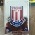 Card 134 GLEN JOHNSON - STOKE CITY da coleção Match Attax Premier League 2016/2017 na internet